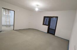 Casa P+1, 240 mp utili + 1400mp teren, zona Birsesti 