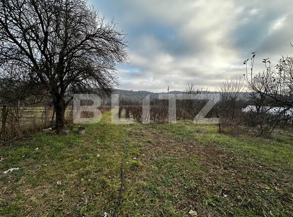 Casa de vânzare 3 camere Exterior Est - 132270CV | BLITZ Târgu Jiu | Poza4