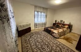 Casa plan P+E cu teren, 90mp, zona Runcu