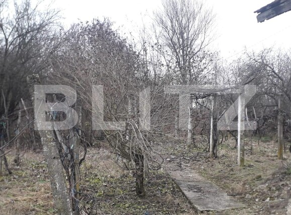 Casa de vânzare 4 camere Exterior Est - 132344CV | BLITZ Târgu Jiu | Poza6