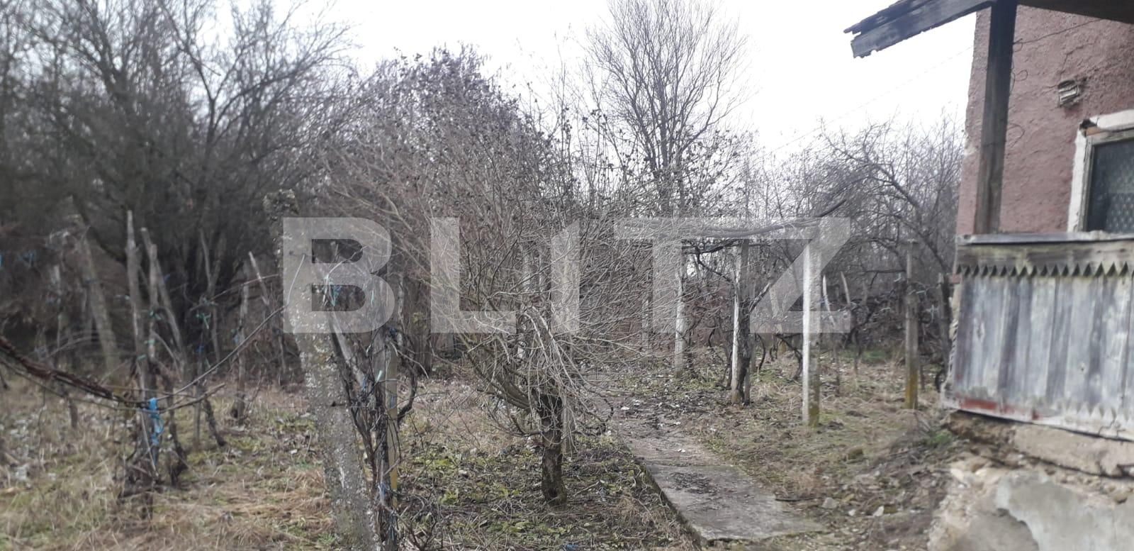 Casa de vânzare 4 camere Exterior Est - 132344CV | BLITZ Târgu Jiu | Poza6