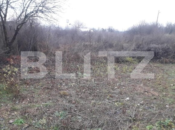 Teren de vânzare Exterior Sud - 132459TV | BLITZ Târgu Jiu | Poza1
