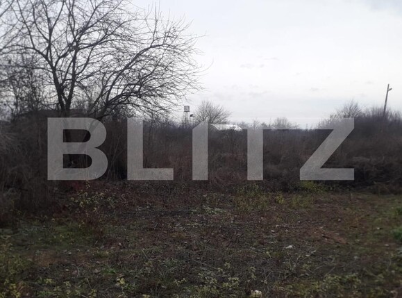 Teren de vânzare Exterior Sud - 132459TV | BLITZ Târgu Jiu | Poza2