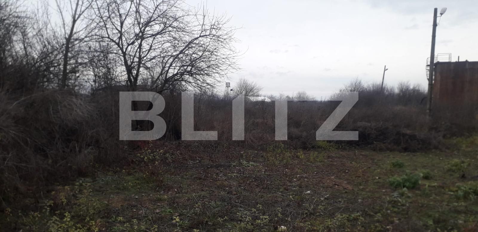 Teren de vânzare Exterior Sud - 132459TV | BLITZ Târgu Jiu | Poza2