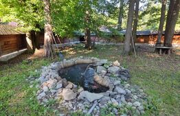 Pensiune turistica Polovragi