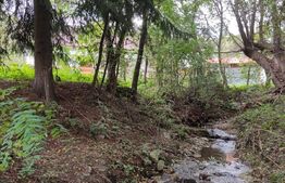 Pensiune turistica Polovragi