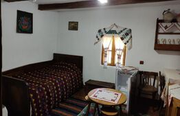 Pensiune turistica Polovragi