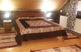 Pensiune turistica Polovragi