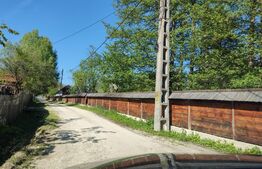 Pensiune turistica Polovragi