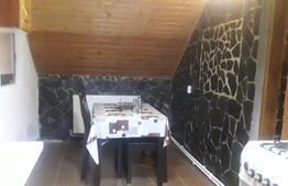 Pensiune turistica Polovragi