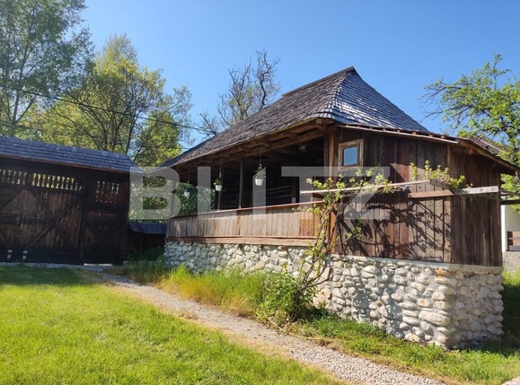 Casa de vânzare 7 camere Exterior Est - 132545CV | BLITZ Târgu Jiu | Poza2