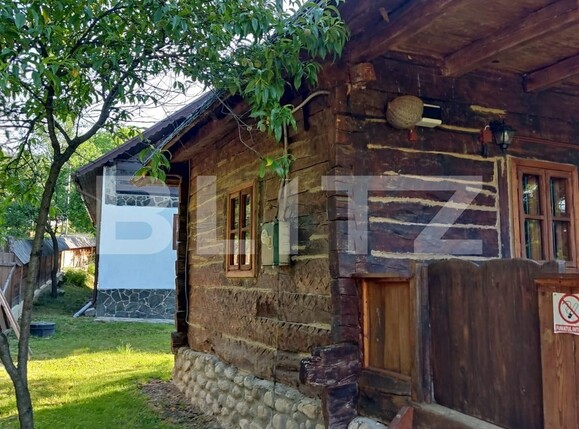 Casa de vânzare 7 camere Exterior Est - 132545CV | BLITZ Târgu Jiu | Poza5