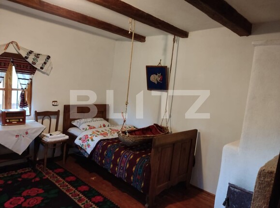 Casa de vânzare 7 camere Exterior Est - 132545CV | BLITZ Târgu Jiu | Poza12