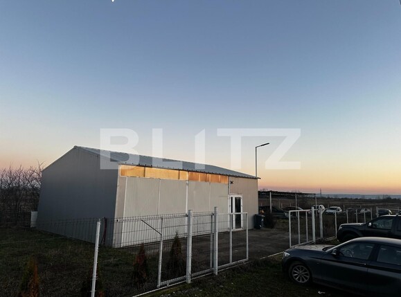 Spațiu industrial de vânzare Exterior Est - 132830SVI | BLITZ Târgu Jiu | Poza3