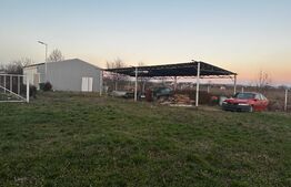 Hala 90 mp si 2000 mp teren in zona Petresti