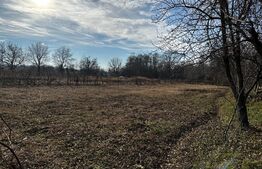 Casa plan parter 85 mp si 1670 mp teren, zona Runcu