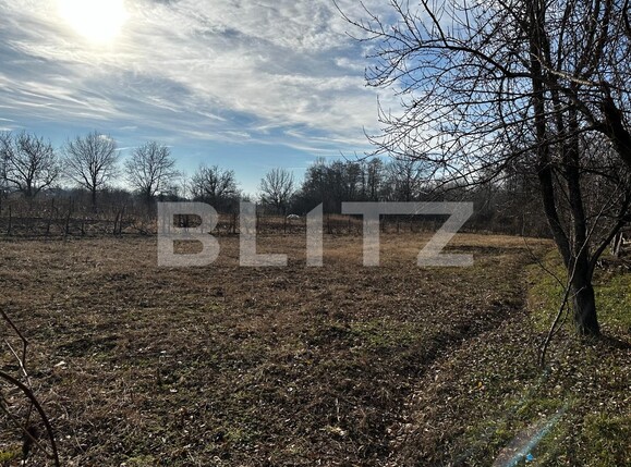 Casa de vânzare 3 camere Exterior Vest - 133078CV | BLITZ Târgu Jiu | Poza5