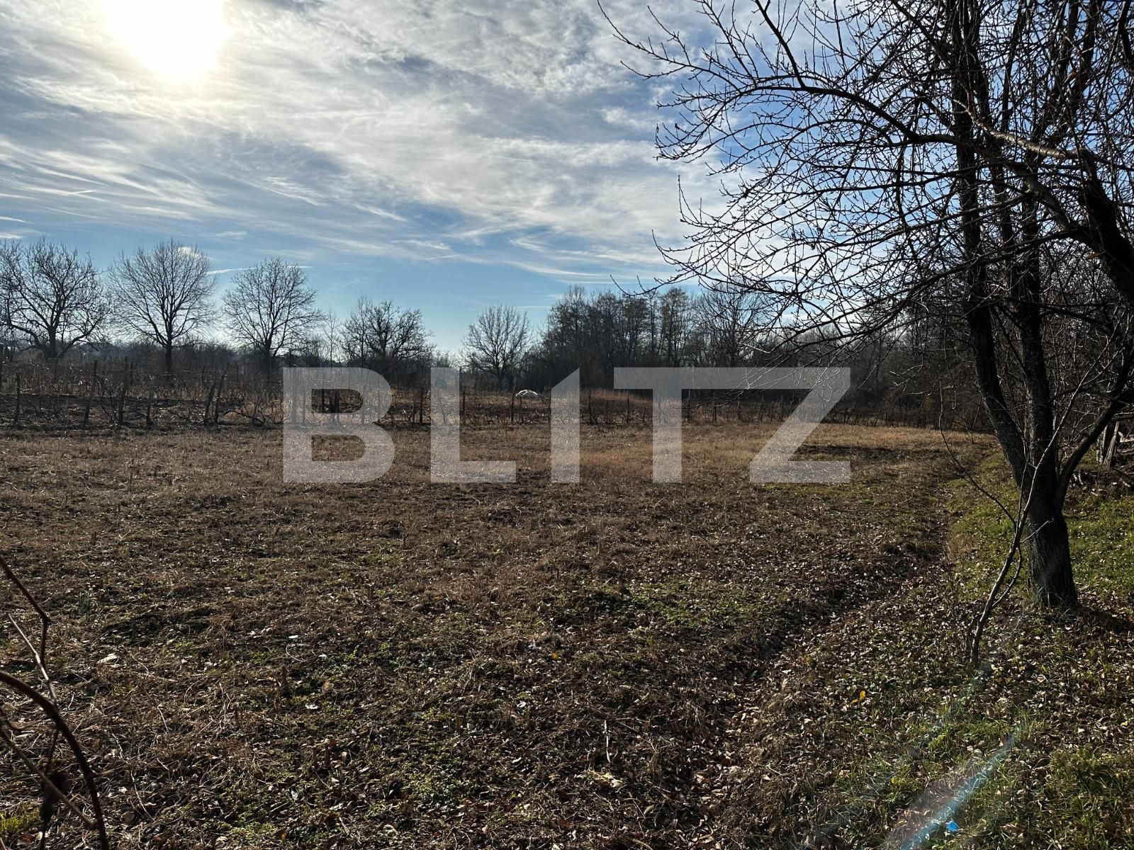 Casa de vânzare 3 camere Exterior Vest - 133078CV | BLITZ Târgu Jiu | Poza5