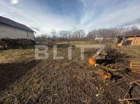 Casa de vânzare 4 camere Exterior Vest - 133180CV | BLITZ Târgu Jiu | Poza7