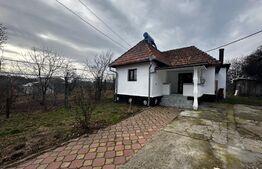 Casa si teren, 1700 mp, zona Pestisani