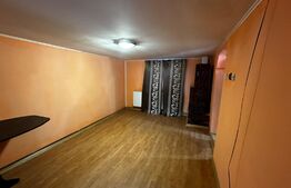 Casa si teren, 1700 mp, zona Pestisani