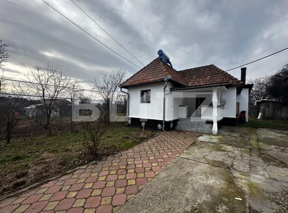 Casa de vânzare 5 camere Exterior Vest - 133225CV | BLITZ Târgu Jiu | Poza4