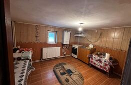 Casa parter+etaj si 5000 mp teren, zona Balesti