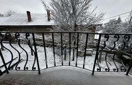 Casa parter+etaj si 5000 mp teren, zona Balesti