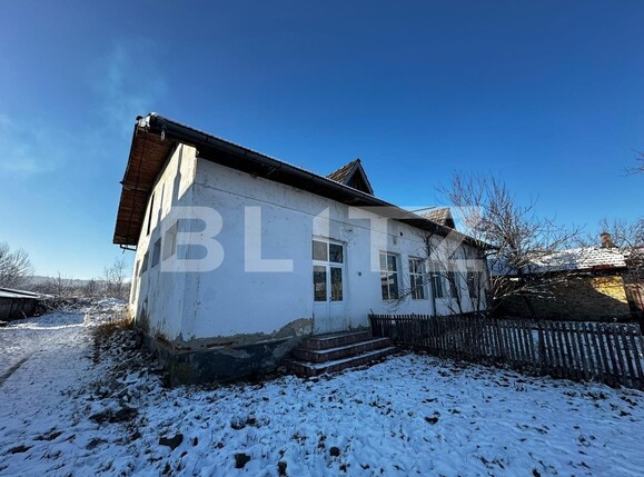 Spațiu industrial de vânzare Exterior Vest - 133534SVI | BLITZ Târgu Jiu | Poza3