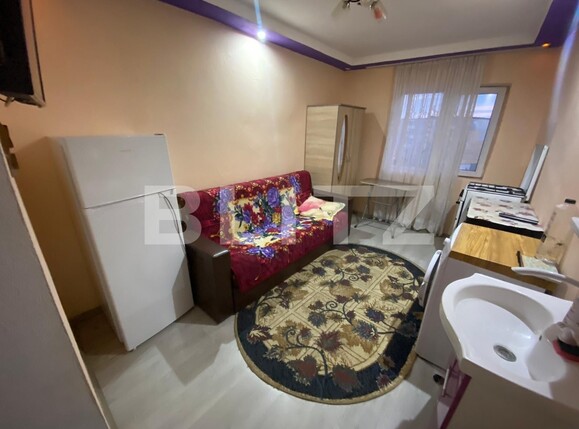 Garsonieră de vânzare Nicolae Titulescu - 133736AV | BLITZ Târgu Jiu | Poza1