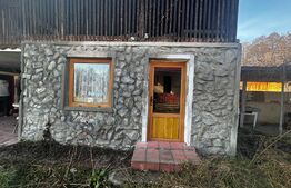  Casa de vacanta zona Arcani si 3000 mp teren