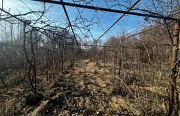  Casa de vacanta zona Arcani si 3000 mp teren