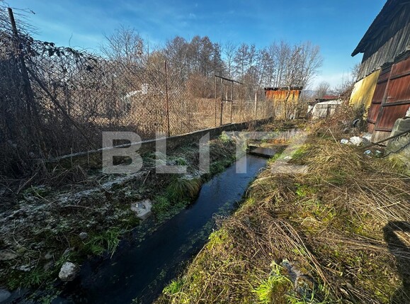 Casa de vânzare 4 camere Exterior Vest - 134562CV | BLITZ Târgu Jiu | Poza12