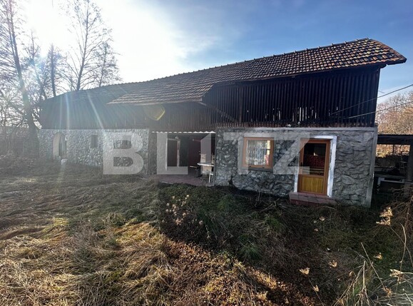 Casa de vânzare 4 camere Exterior Vest - 134562CV | BLITZ Târgu Jiu | Poza9