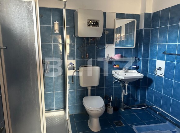 Casa de vânzare 4 camere Exterior Vest - 134562CV | BLITZ Târgu Jiu | Poza8