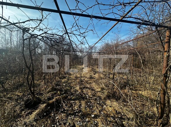 Casa de vânzare 4 camere Exterior Vest - 134562CV | BLITZ Târgu Jiu | Poza14