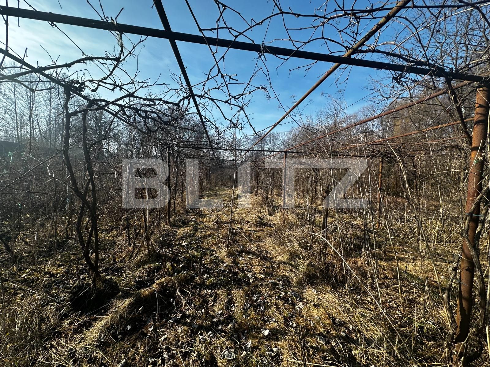 Casa de vânzare 4 camere Exterior Vest - 134562CV | BLITZ Târgu Jiu | Poza14