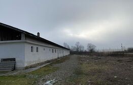 Teren intravilan 5000mp + HALA