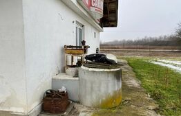 Teren intravilan 5000mp + HALA