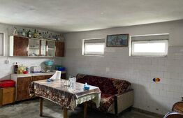 Teren intravilan 5000mp + HALA