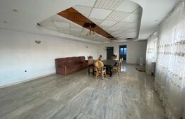 Casa individuală P+1+M, teren 1100 mp, cartier Dragoieni