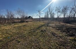 Casa 37 mp si 2500 mp teren, zona Tilvesti