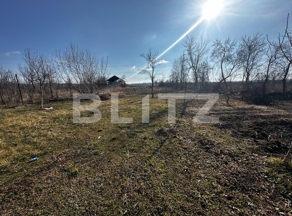 Casa de vânzare 2 camere Exterior Sud - 134801CV | BLITZ Târgu Jiu | Poza10