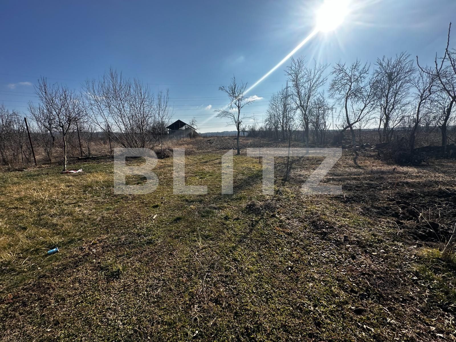 Casa de vânzare 2 camere Exterior Sud - 134801CV | BLITZ Târgu Jiu | Poza10