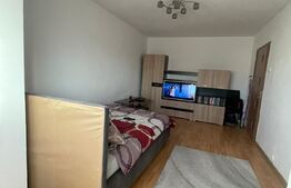 Garsoniera, 28mp, Vădeni