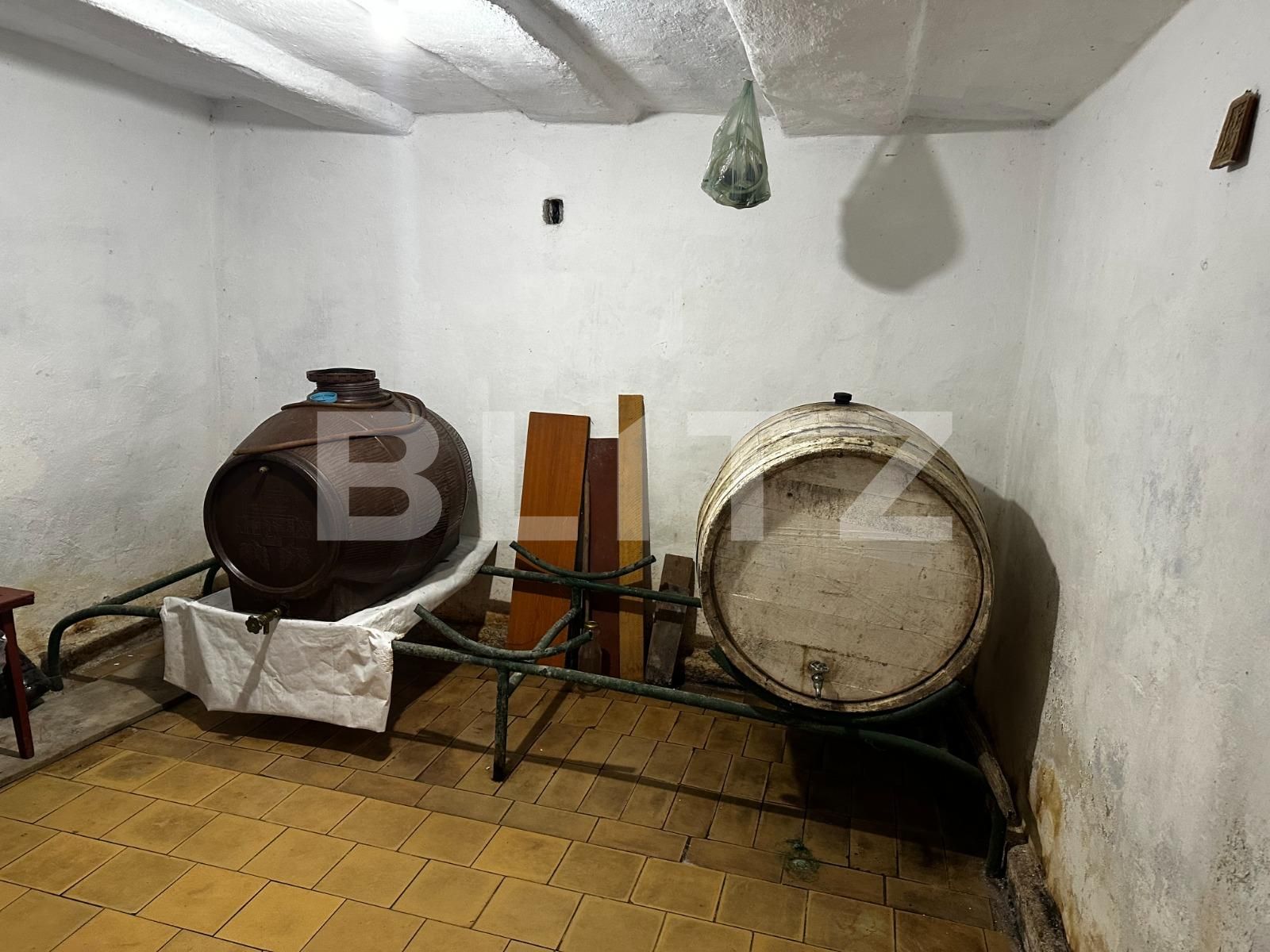 Casa de vânzare 4 camere Exterior Nord - 135328CV | BLITZ Târgu Jiu | Poza9