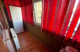 Garsoniera 28mp, la cheie, cartier Plopilor