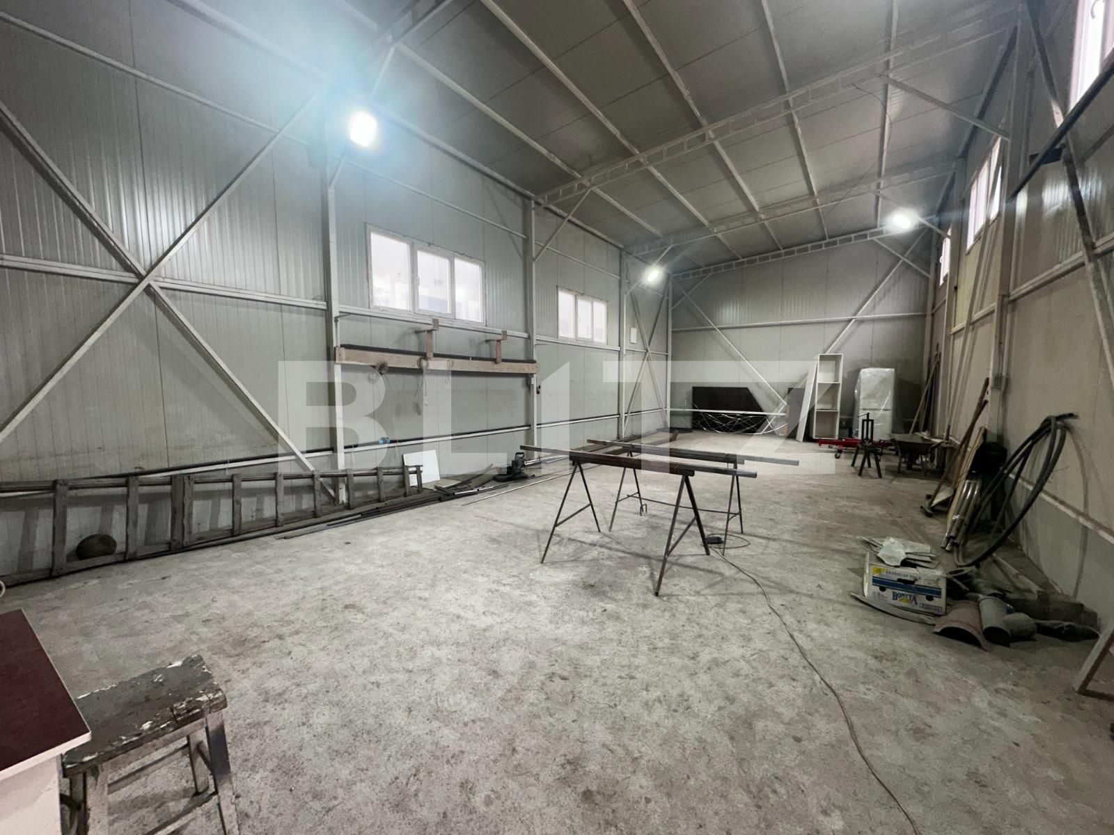 Spațiu industrial de vânzare 9 Mai - 135460SVI | BLITZ Târgu Jiu | Poza4