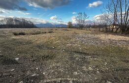 Teren 8000 mp, zona Pestisani