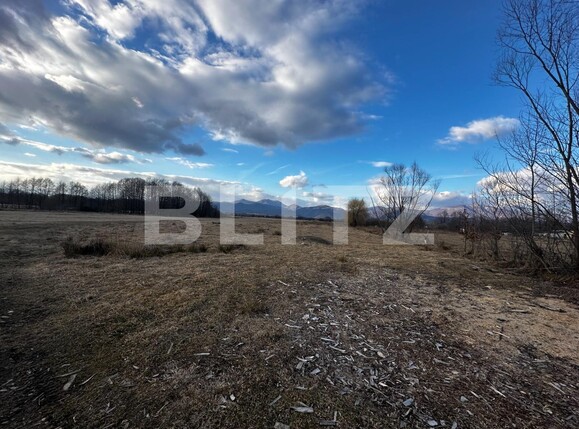 Teren de vânzare Exterior Vest - 135533TV | BLITZ Târgu Jiu | Poza2